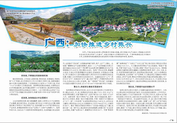 正版资料全年资料大全-构建解答落实，全面释义解释落实