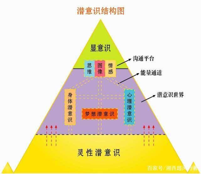 澳门一肖中100%期期准-构建解答落实，理性与现实的平衡