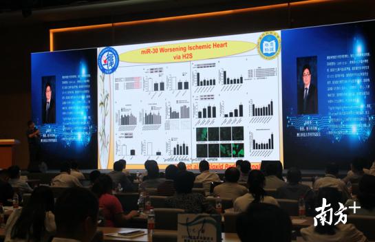 澳门今晚上必开一肖最佳答案-构建解答落实，理性解读与科学预测