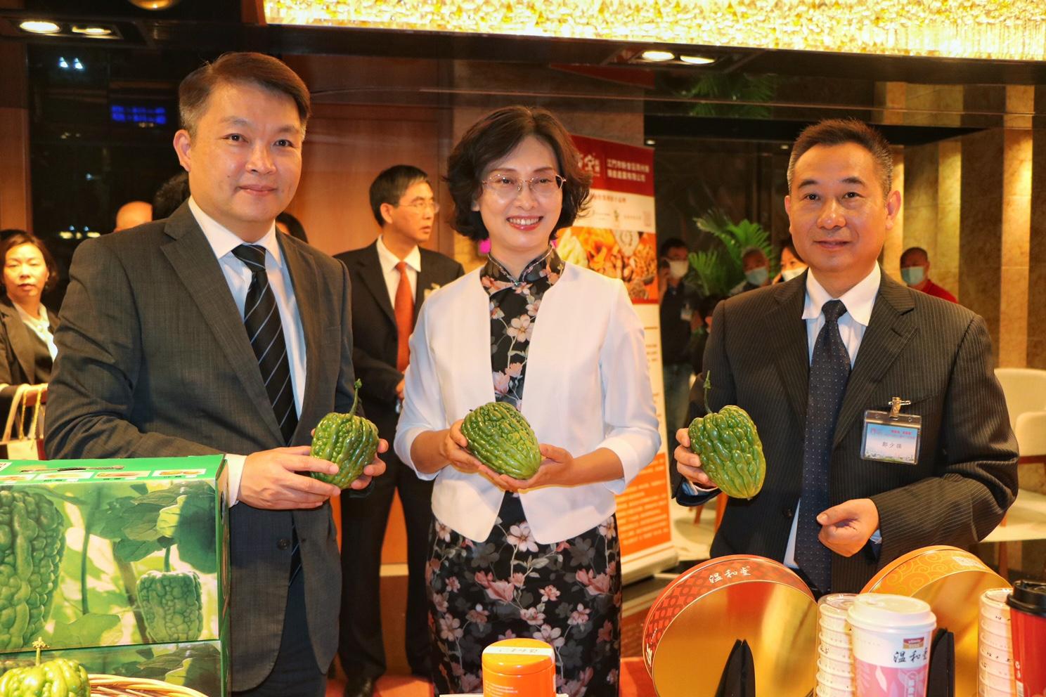 澳门新貌-构建解答落实，精准龙门——词语释义、解释与落实