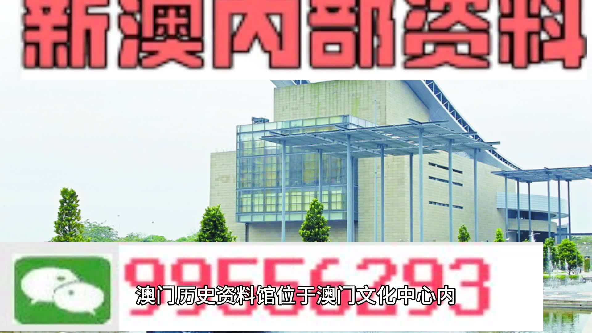 2025年新澳门王中王资料199期-构建解答落实，精选解析与解释落实