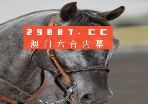 澳门一肖一码一特一中挂-构建解答落实，全面释义与理性解读