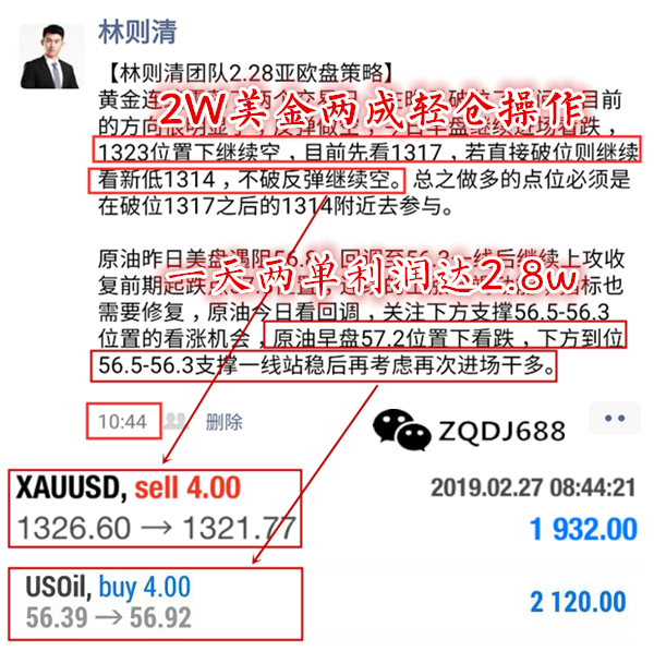 2025年新奥最精准免费大全下载安装-构建解答落实，塔优择工作室的精选解释与解析