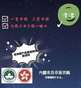 一肖一码一中一特-构建解答落实，精选解析解释落实