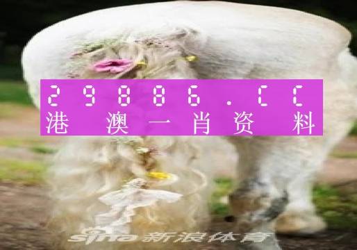 今晚一肖一码澳门一肖四不像-构建解答落实，全面释义解释落实