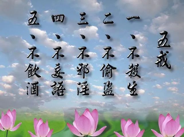 澳门今晚开奖结果2025年开-构建解答落实，词语释义解释落实