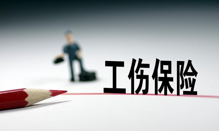 2024年全年资料免费公开|精选资料解析大全