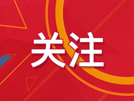 新澳门精准4肖期期准|精选资料解析大全
