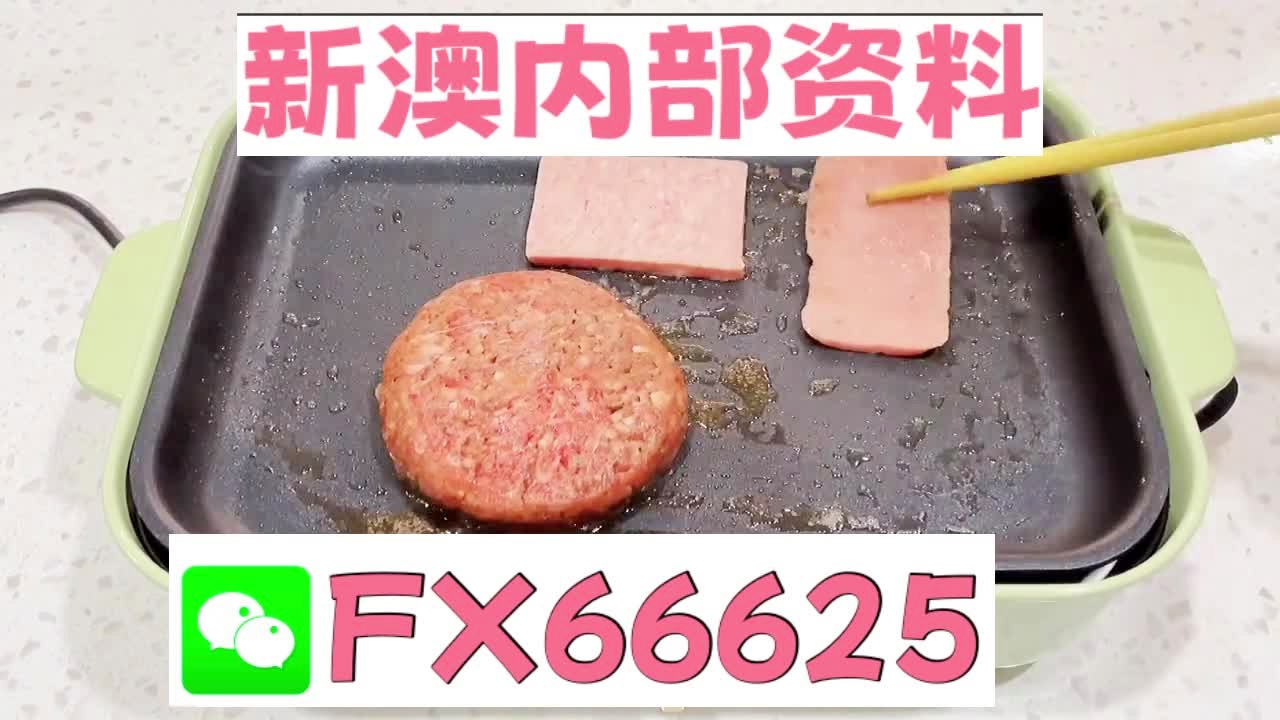新澳门精准5码中特|精选资料解析大全