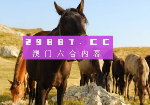 澳门资料管家婆100百分之百准 |精选资料解析大全