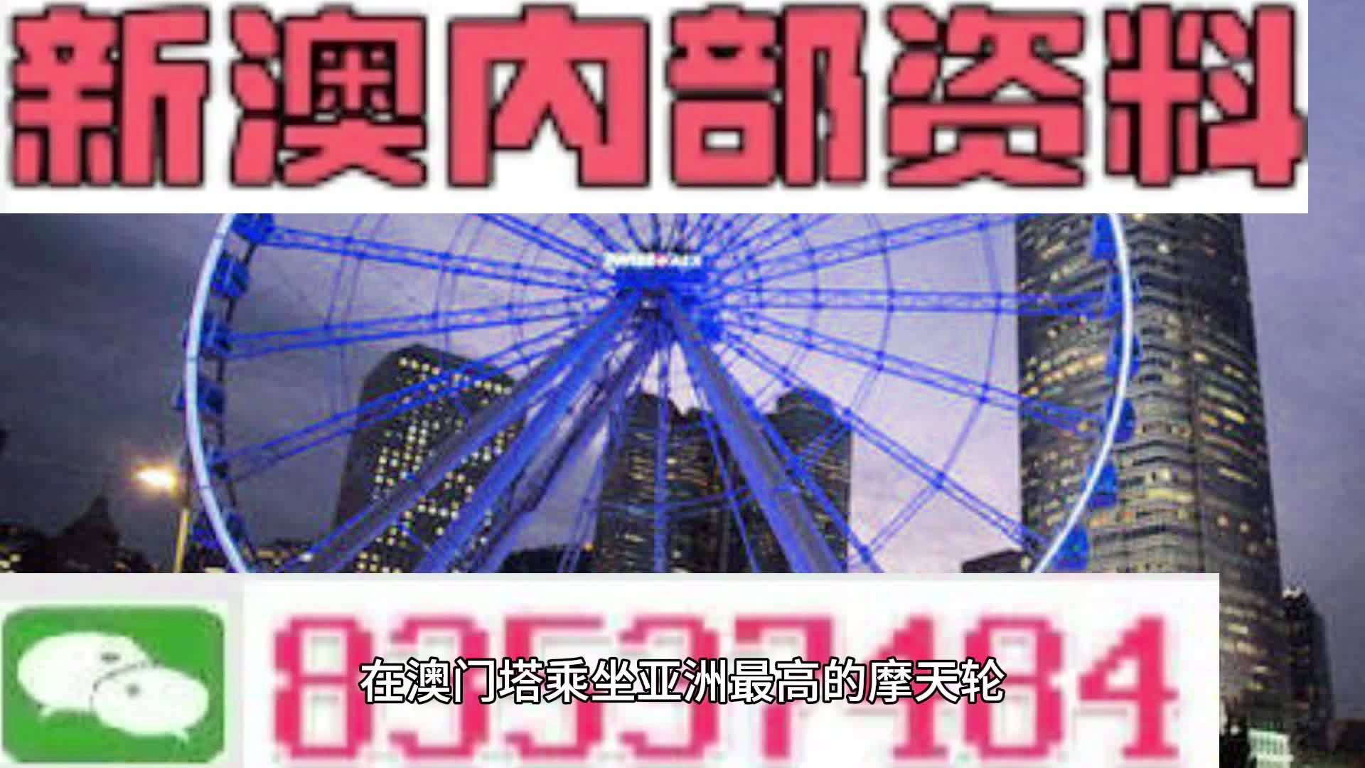 新奥门正版资料免费长期公开|精选资料解析大全