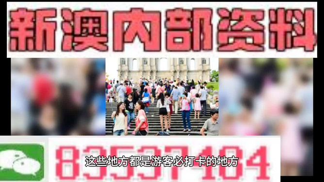 新澳精准资料期期精准24期|精选资料解析大全