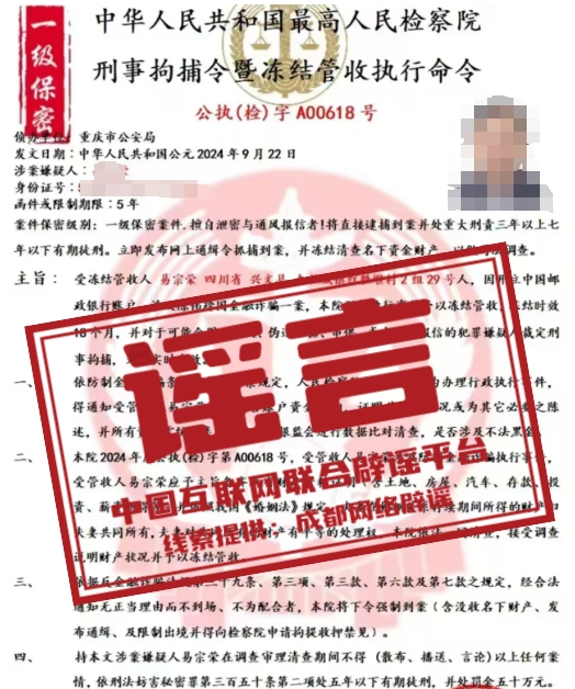 2024年澳门精准正版四不像网|精选资料解析大全