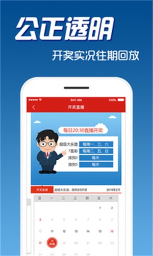2024年澳门天天开好彩 |精选资料解析大全
