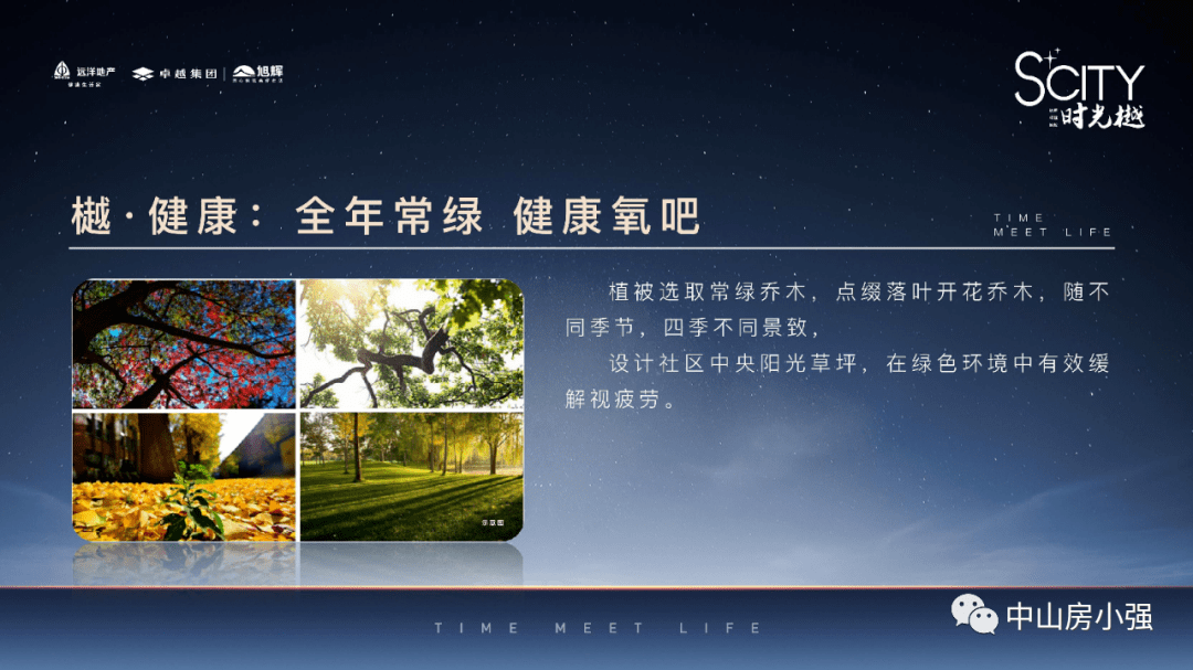 新澳今天最新资料944|精选资料解析大全