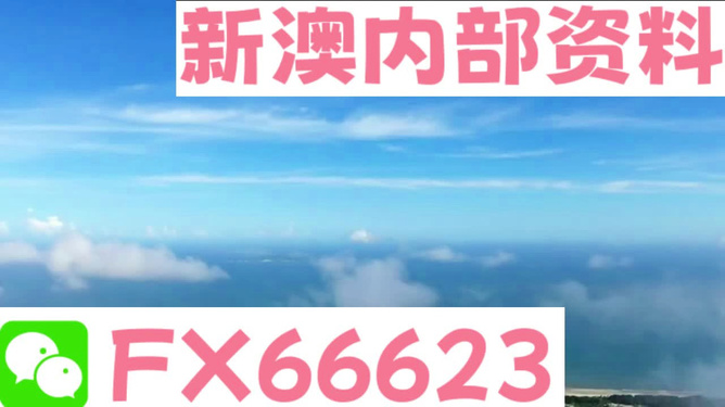 新澳资料大全2024年|精选资料解析大全