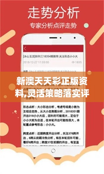 新澳天天彩免费资料查询最新|精选资料解析大全
