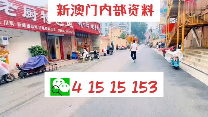 2024澳门天天开好彩大全开奖记录|精选资料解析大全
