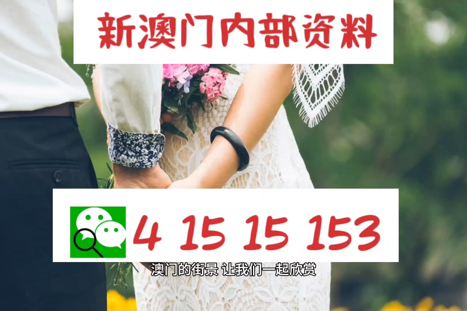 2024新澳门精准资料免费 |精选资料解析大全