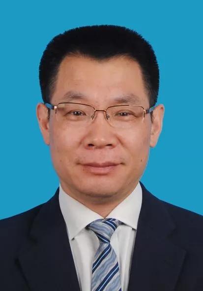 2024新奥精准资料免费提供 |精选资料解析大全