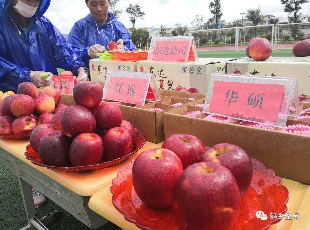 昭大一级公路最新消息