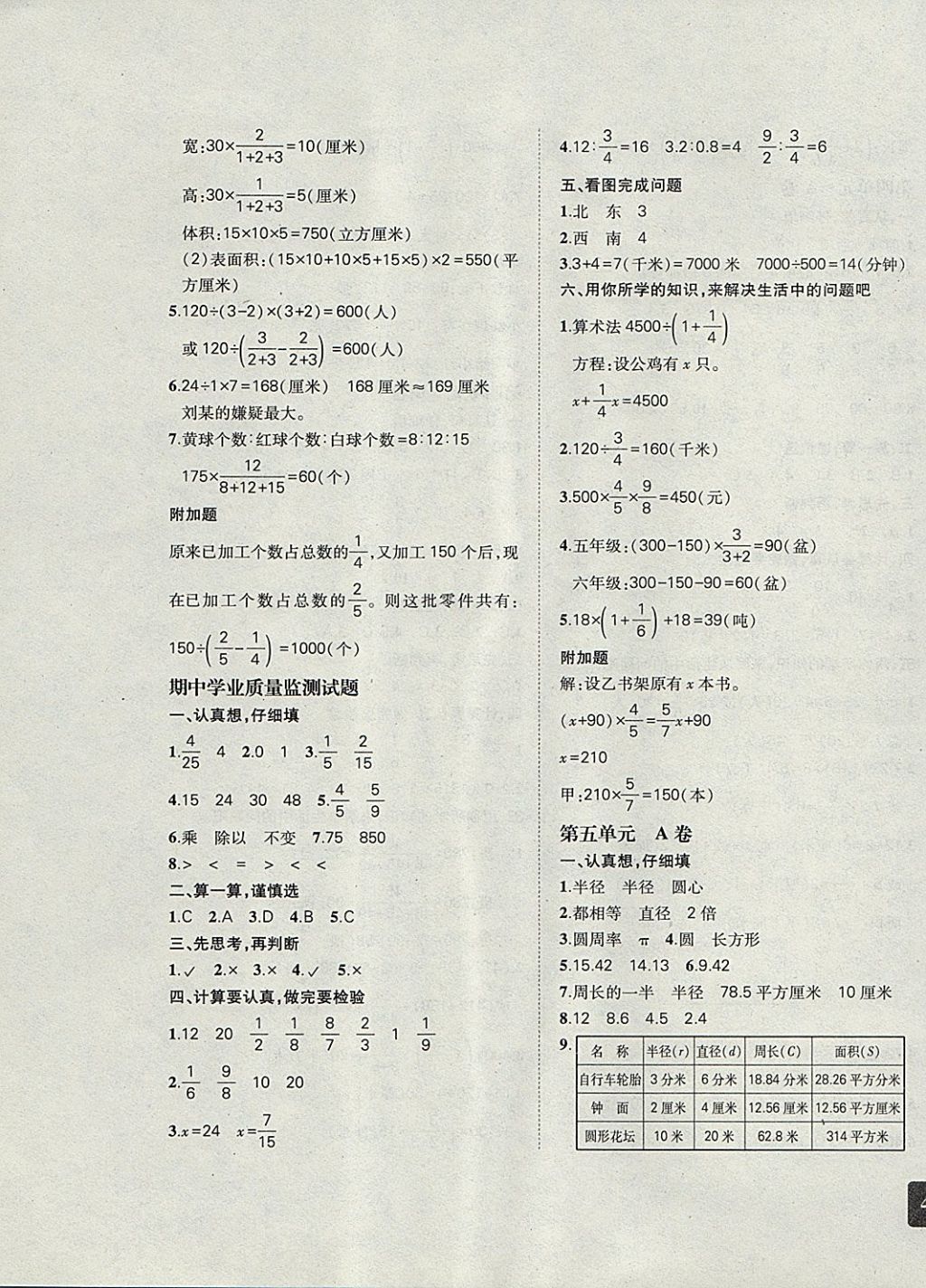 最新ab卷六年级下答案
